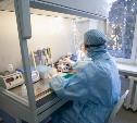 В Тульской области суточный показатель по коронавирусу бьет рекорды