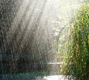 Погода в Туле 22 июня: снова похолодание и легкий дождь