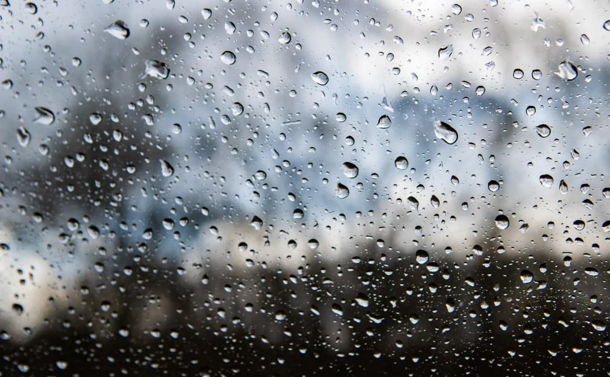 Погода в Туле 24 апреля: дождливо, ветрено и прохладно
