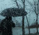 Погода в Туле 3 апреля: дождливо и до +10 градусов