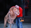 Египетский дрессировщик Хамада Кута: «Львы мне как дети!»