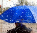 Погода в Туле 12 июля: сильный ветер и дождь с грозой