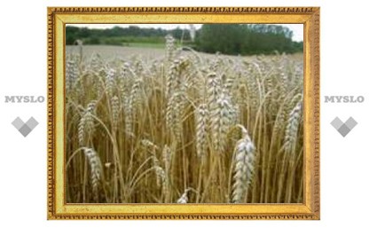 29 мая: Непременно надо сеять жито!