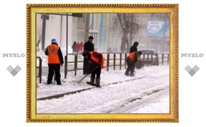 В Туле начали борьбу со снегом