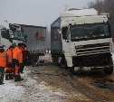 В январе на дорогах Тульской области возросло количество аварий