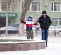 До выходных в Тульской области сохранится теплая и снежная погода