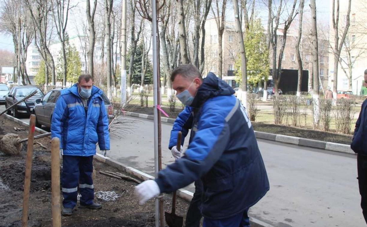 «Новомосковск, дыши!»: стартовала программа озеленения города 2020 года