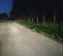 В Тульской области пьяный водитель сбил на обочине пятилетнюю девочку