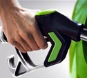 Цены на бензин до конца лета останутся нетронутыми