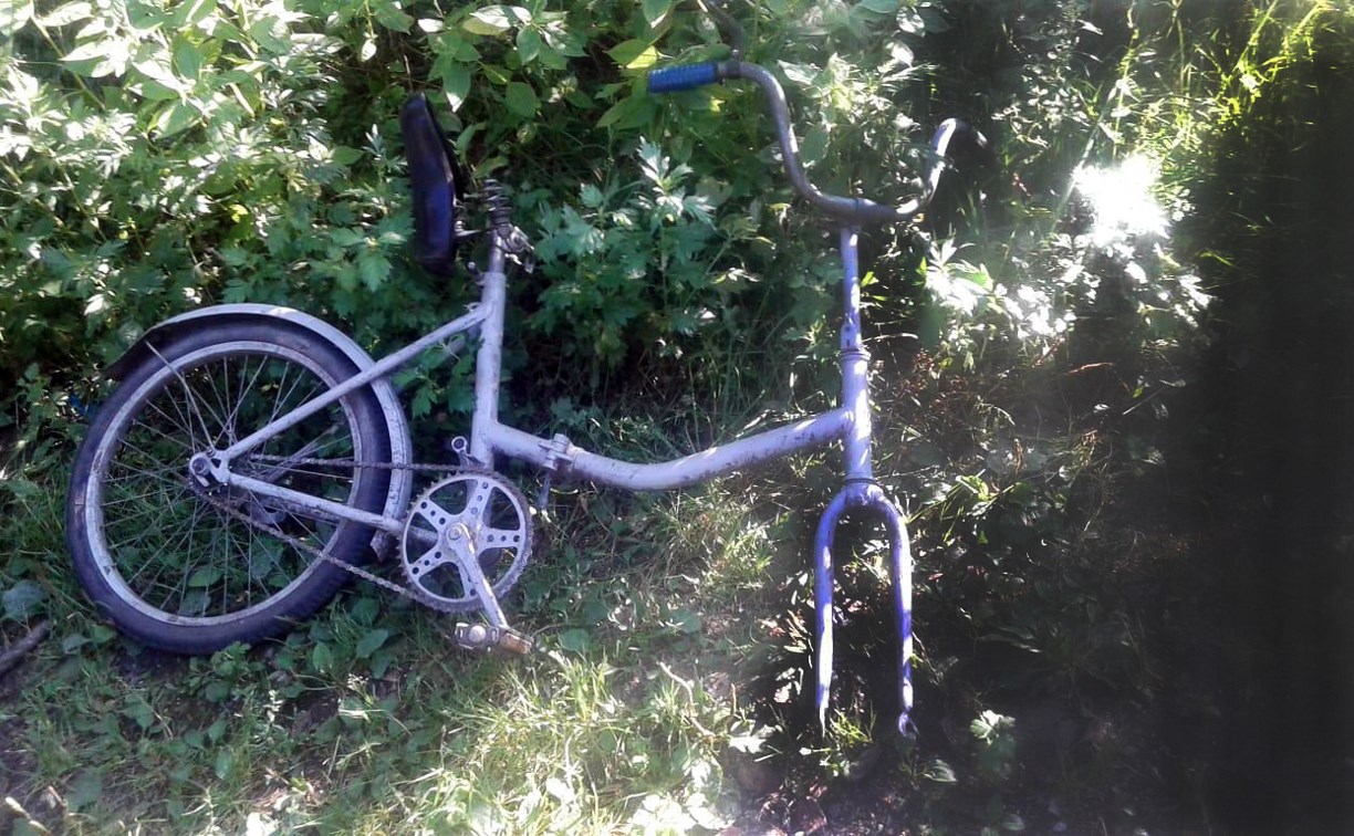 В Тульской области юный велосипедист попал под колеса грузовика