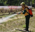 Тульский лесной пожарный поборется за звание лучшего в России