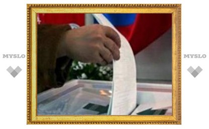 В Центральном районе Тулы прошли выборы