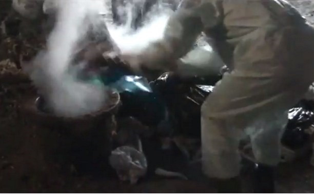 Россельхознадзор опубликовал видео сжигания мясной продукции в Тульской области