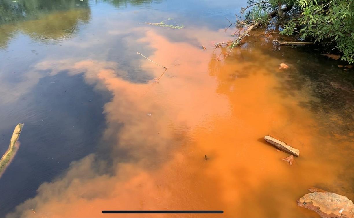 Экоактивисты выяснили, кто загрязняет реку Дон в Кимовском районе