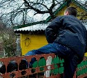 Житель Одоевского района обокрал соседа по даче