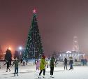 Новогодняя елка обойдется Туле в 1,1 млн рублей