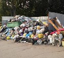 Роспотребнадзор оштрафовал тульских коммунальщиков за мусор на контейнерных площадках