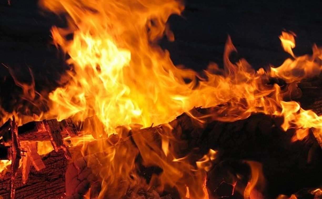 Три дня в Тульской области ожидается высокий уровень пожарной опасности