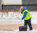 Рейд по уборке дворов от снега в Туле: три управляющие компании в списке нарушителей
