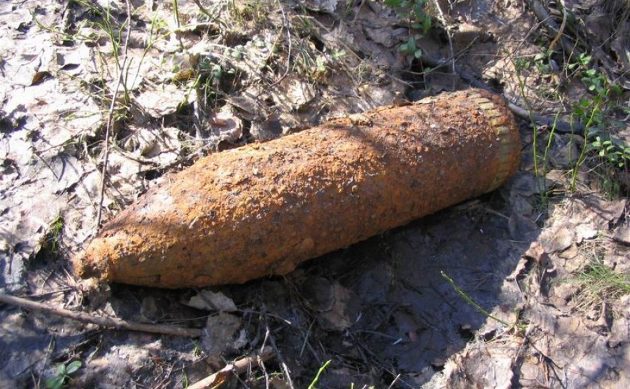 В Алексине нашли 35 снарядов времён Великой Отечественной войны