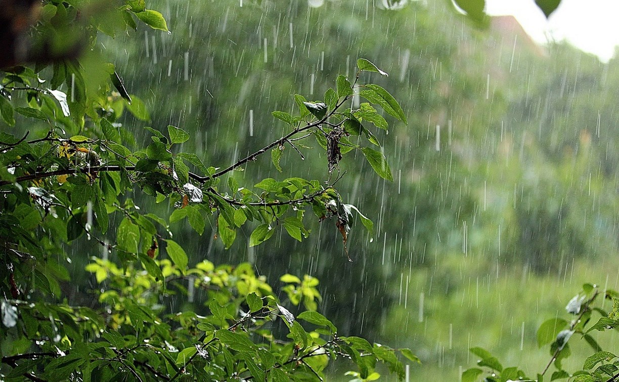 9 июля в Туле ожидаются дожди и грозы