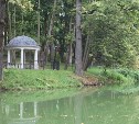Источник загрязнения пруда в Платоновском парке установит минэкологии Тульской области