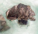 Археологи нашли в Туле на улице Металлистов уникальный изразец печи и монеты Ивана Грозного
