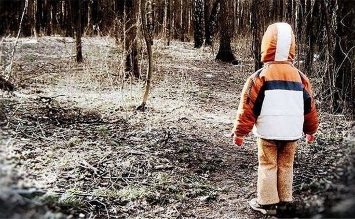 Алексинские полицейские нашли заблудившегося в лесу ребёнка