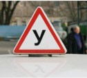 Депутаты Госдумы потребовали приостановить лицензирование автошкол