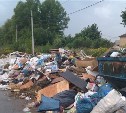 Узловская прокуратура через суд обязала чиновников убрать стихийные свалки