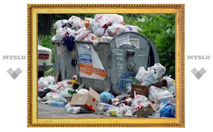 В Туле увеличат нормы накопления бытовых отходов