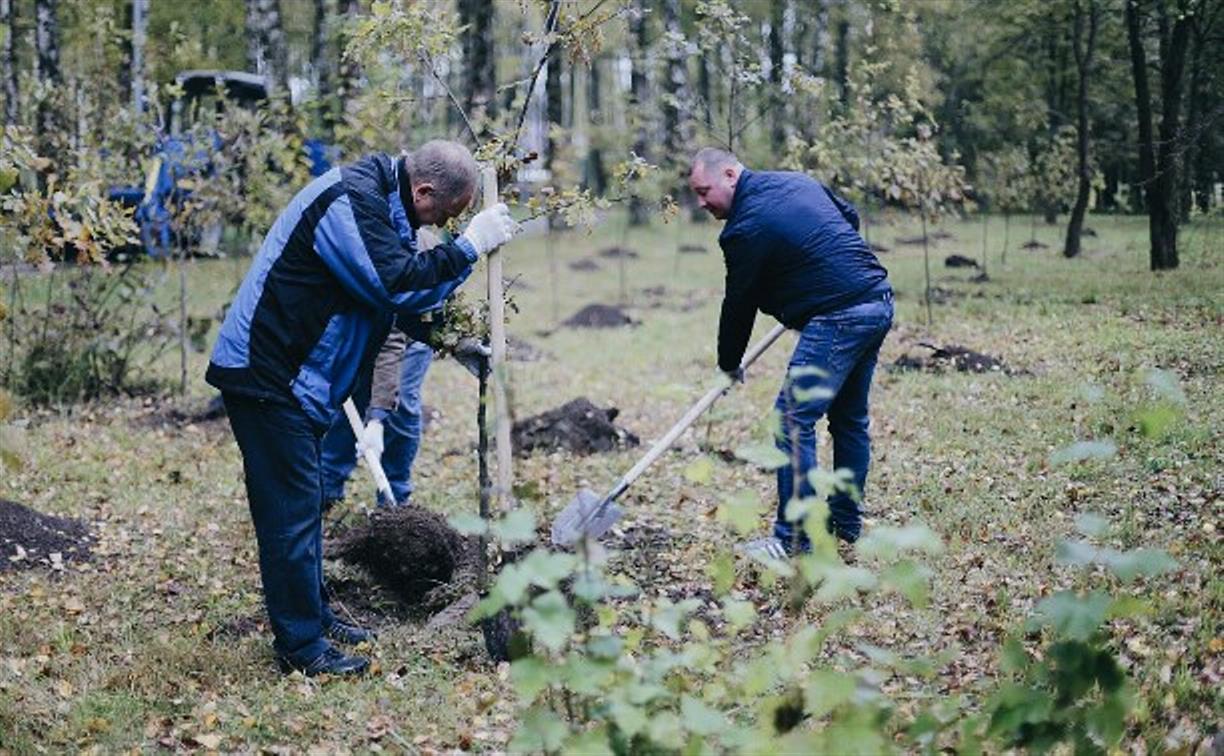 Акция «Сохраним лес»: в Тульской области высадят 20 тысяч деревьев и кустарников