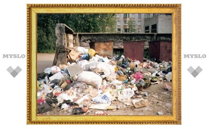 В Туле произошел срыв вывоза бытовых отходов
