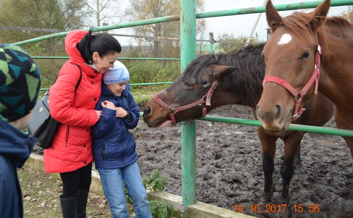 Тульские дети с особенностями развития покатались на лошадях в «Деревне»
