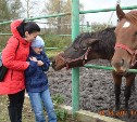 Тульские дети с особенностями развития покатались на лошадях в «Деревне»