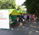 В Центральном парке Тулы пройдёт акция «Вместе против рака»