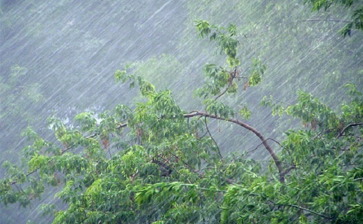 Погода в Туле 25 июля: дождь с грозой и порывистый ветер