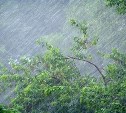 Погода в Туле 25 июля: дождь с грозой и порывистый ветер