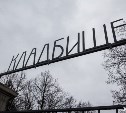 В России появилась цифровая карта захоронений