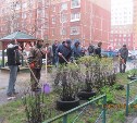 На субботник во дворе дома по ул. Кирова вышли 60 человек