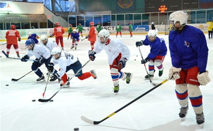 В Новомосковске разыграют хоккейный кубок SKODA