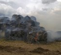 В Белевском районе загорелись рулоны сена