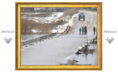 В Тульской области затоплено семь мостов