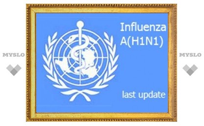 Число заболевших гриппом H1N1 приблизилось к 56 тысячам