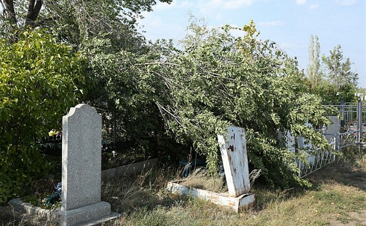 На тульском кладбище неизвестный осквернил могилу