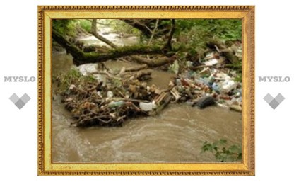 Тульские реки засоряет канализация
