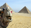 Тульские туристы не собираются отказываться от отдыха в Египте