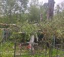 В Черни во время уборки на кладбище могилы завалили спиленными деревьями