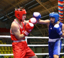 Тульские боксеры проиграли свои бои в Белгороде