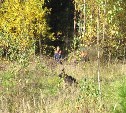 Полиция Кимовского района нашла потерявшуюся в лесу пенсионерку